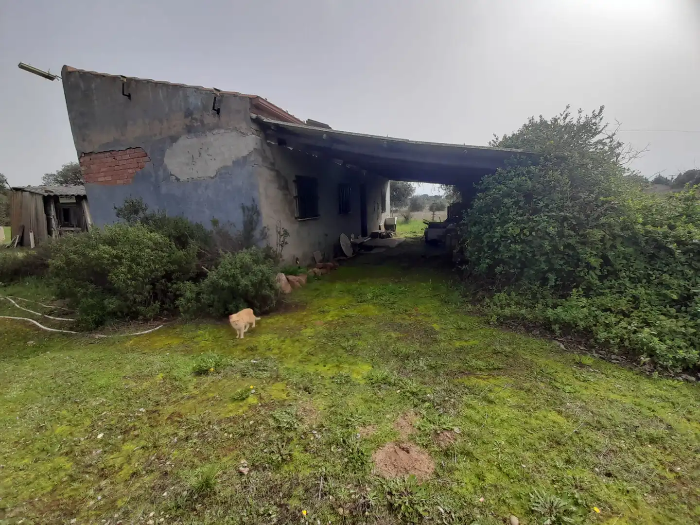 Finca rústica en venta en Brazatortas con Trastero y Piscina