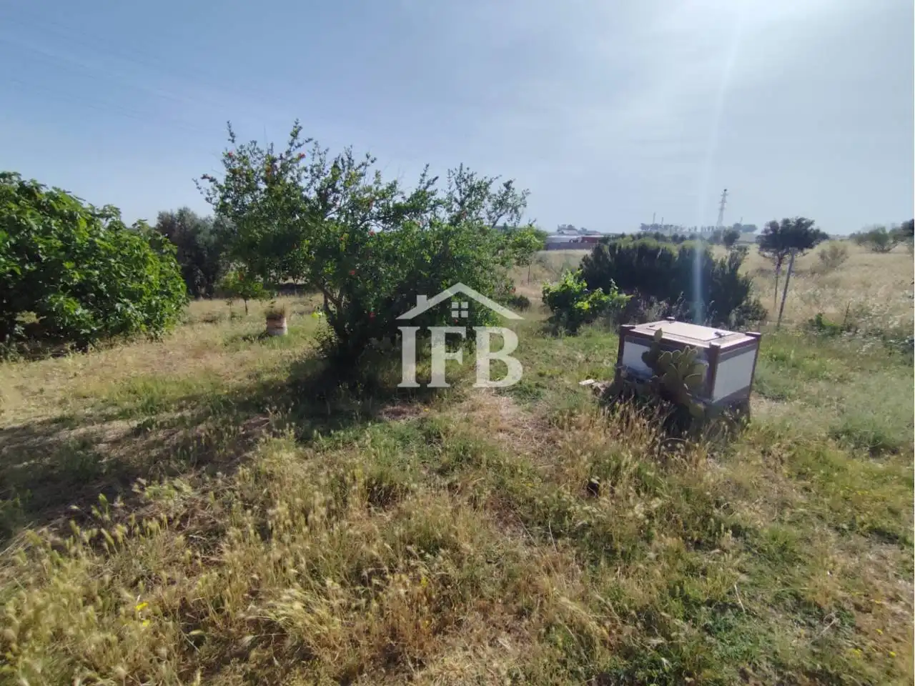 Terreni e lotti in vendita a Carretera de Sevilla - Los Montitos, imagen 13