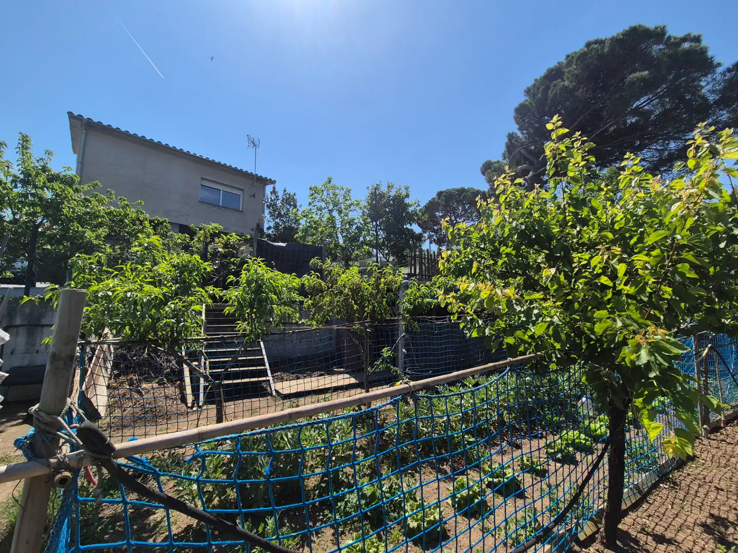 Chalet con jardín en venta en Niàgara Parc - Àgora Parc, imagen 7