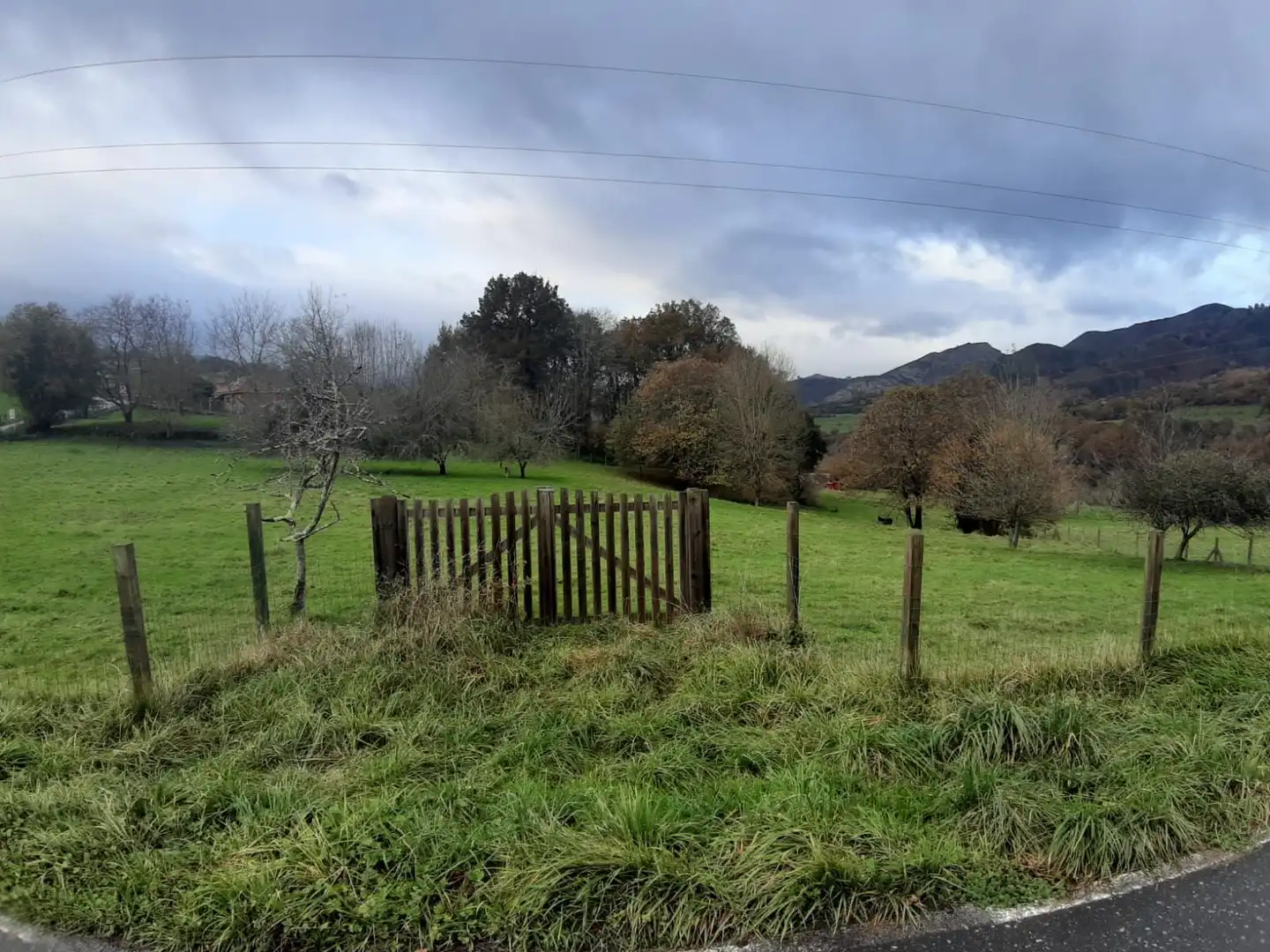 Terrenos y solares en venta en Parres