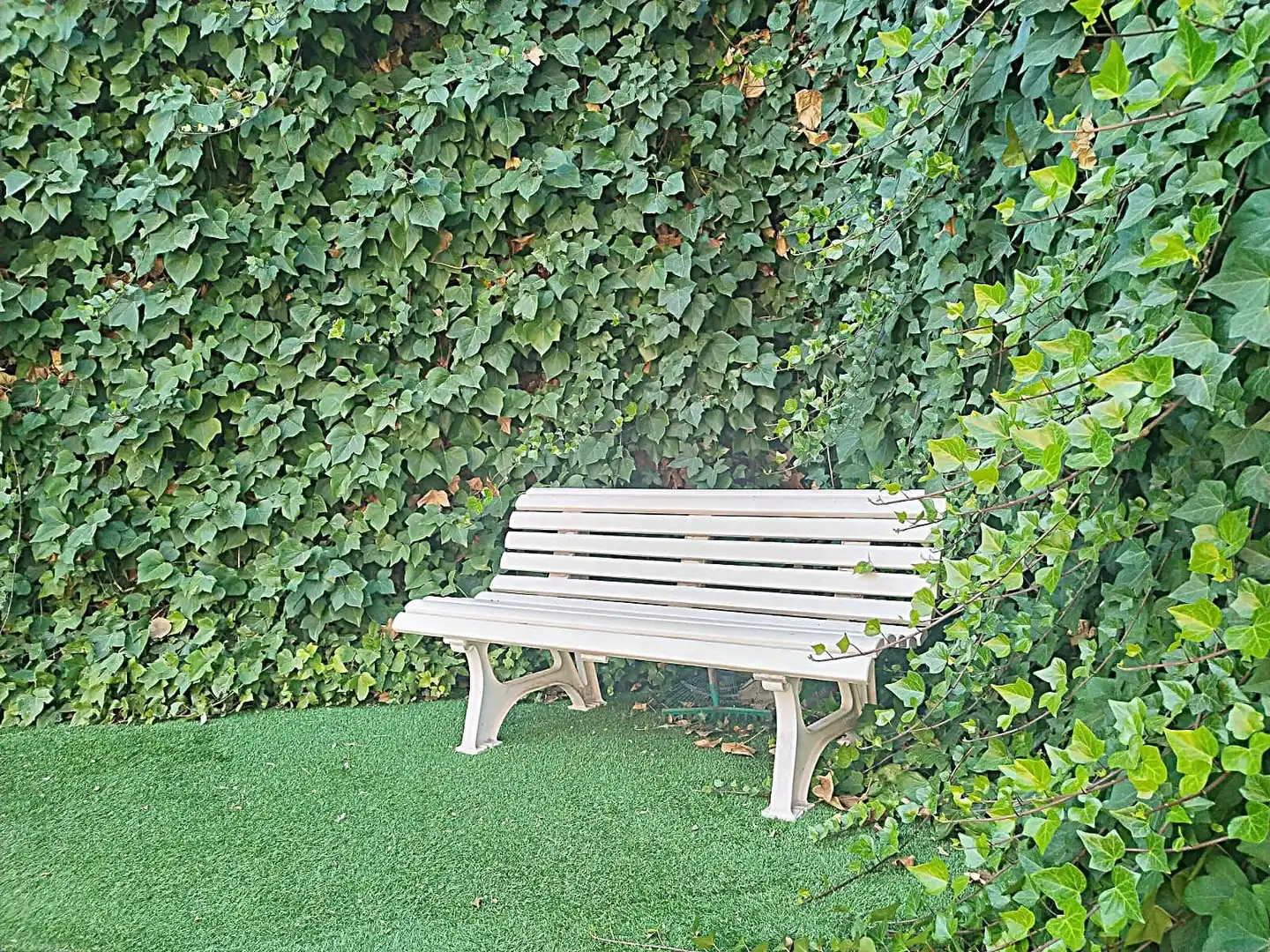 Garden of Detached homes for sale in Los Villares