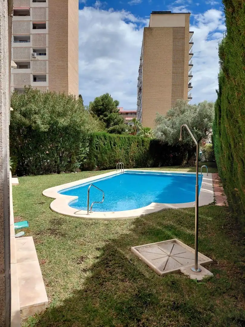 Swimming pool of Flat for rent in Alicante / Alacant  with Air Conditioner, Private garden and Terrace