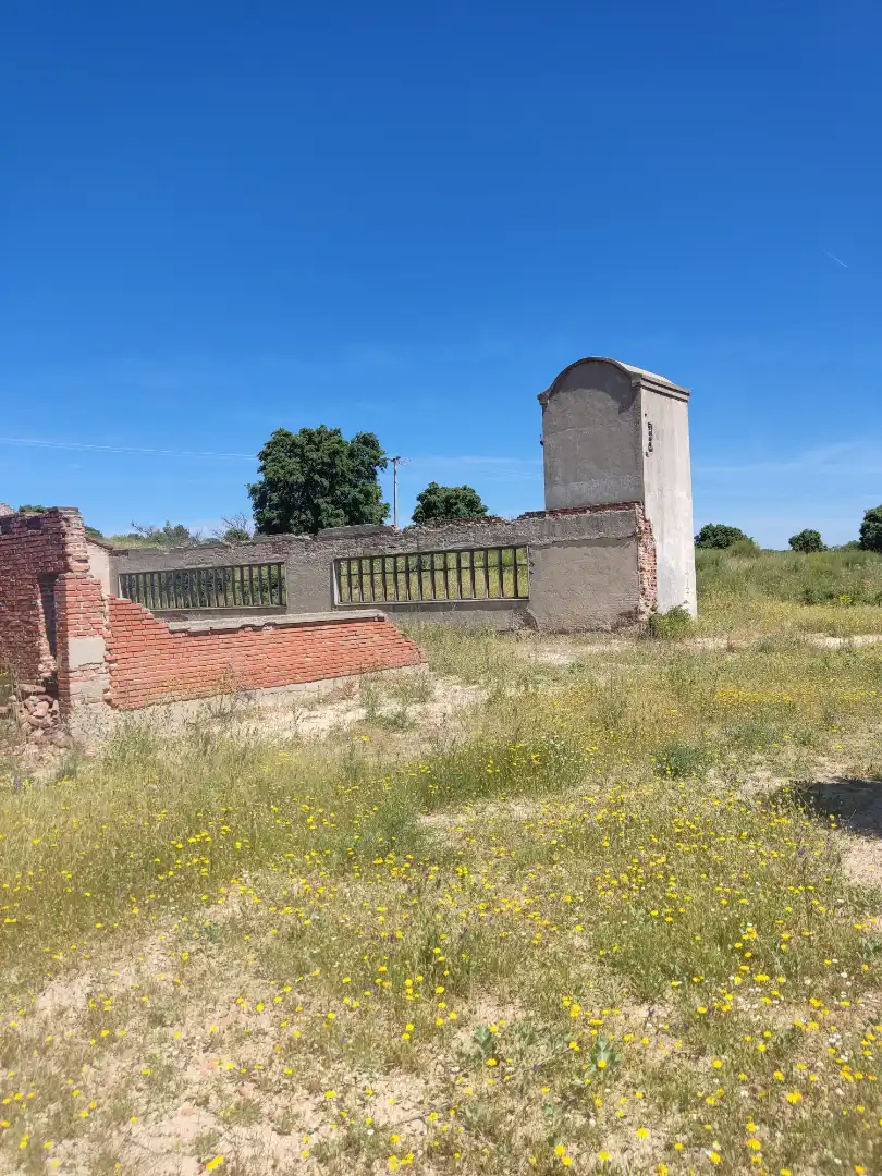 Land for sale in Navalcarnero