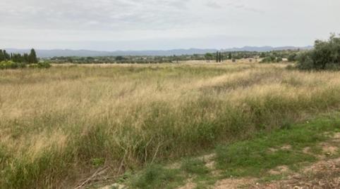 Foto 5 de Residencial en venta en Sre- 2 y Sre- 3 Poligono: 191 Parcela: 202, Parque de la Bombilla, Llíria