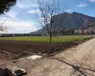 Land for sale in Orihuela