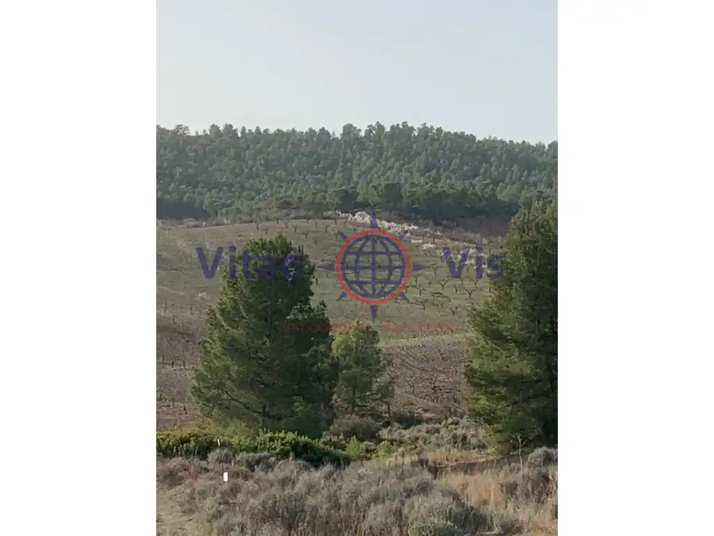 Residential land for sale in Travesia Fuensanta 01, imagen 2