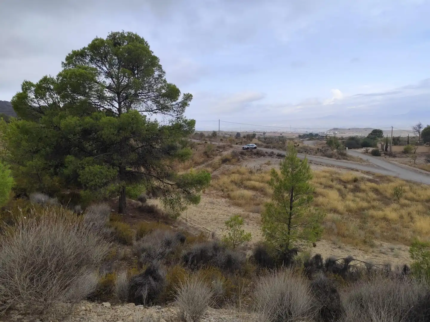 Terreno rustico in vendita a Pedanías Centro, imagen 2