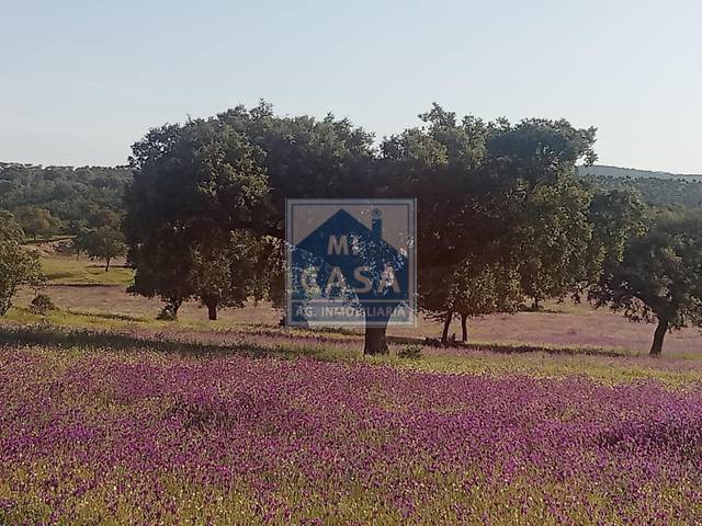 Finca rústica en Venta en Oliva de Mérida