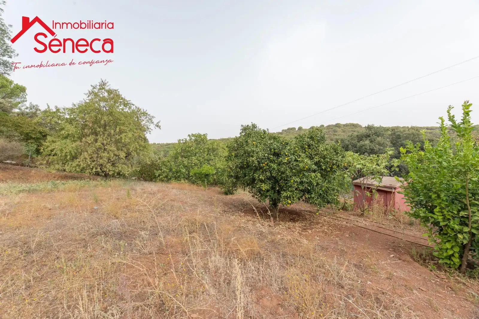Casa o xalet en venda a Las Jaras