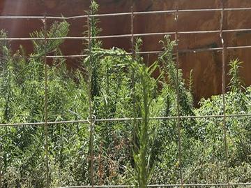 Foto 5 von Residential zum Verkauf in Carrer Dels Carabassers, 48, Sueca ciudad, Sueca