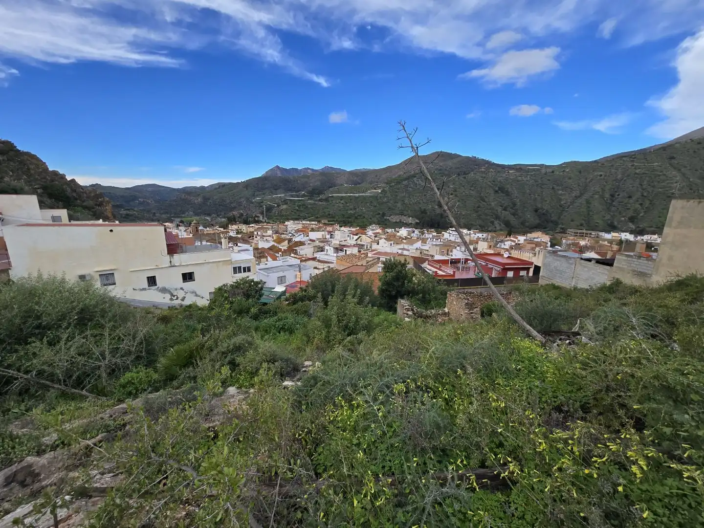 Lands and plots for sale in Vélez de Benaudalla, imagen 16