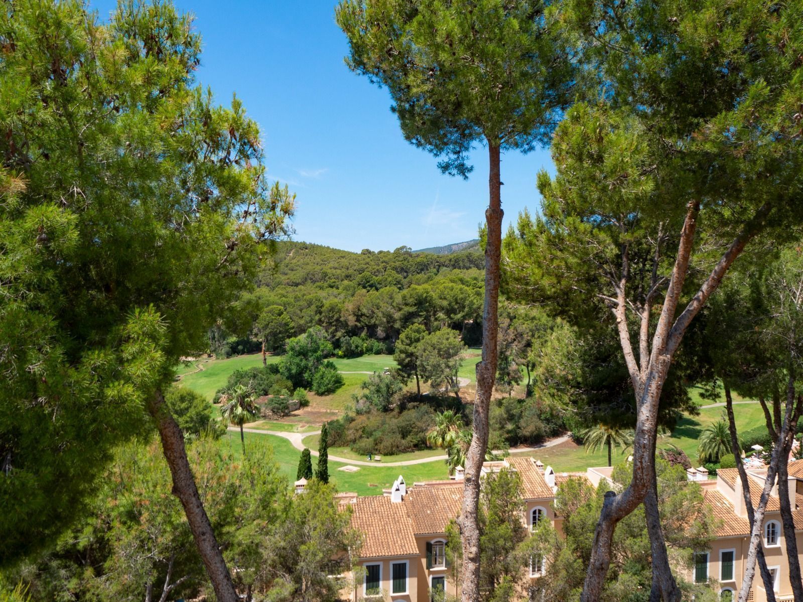 Garden of Attic to rent in Calvià  with Air Conditioner, Heating and Terrace