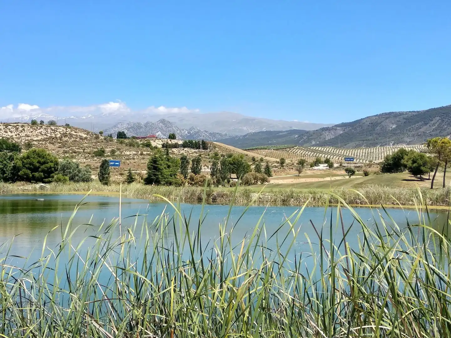 Terreni e lotti in vendita a Villa de Otura, imagen 17