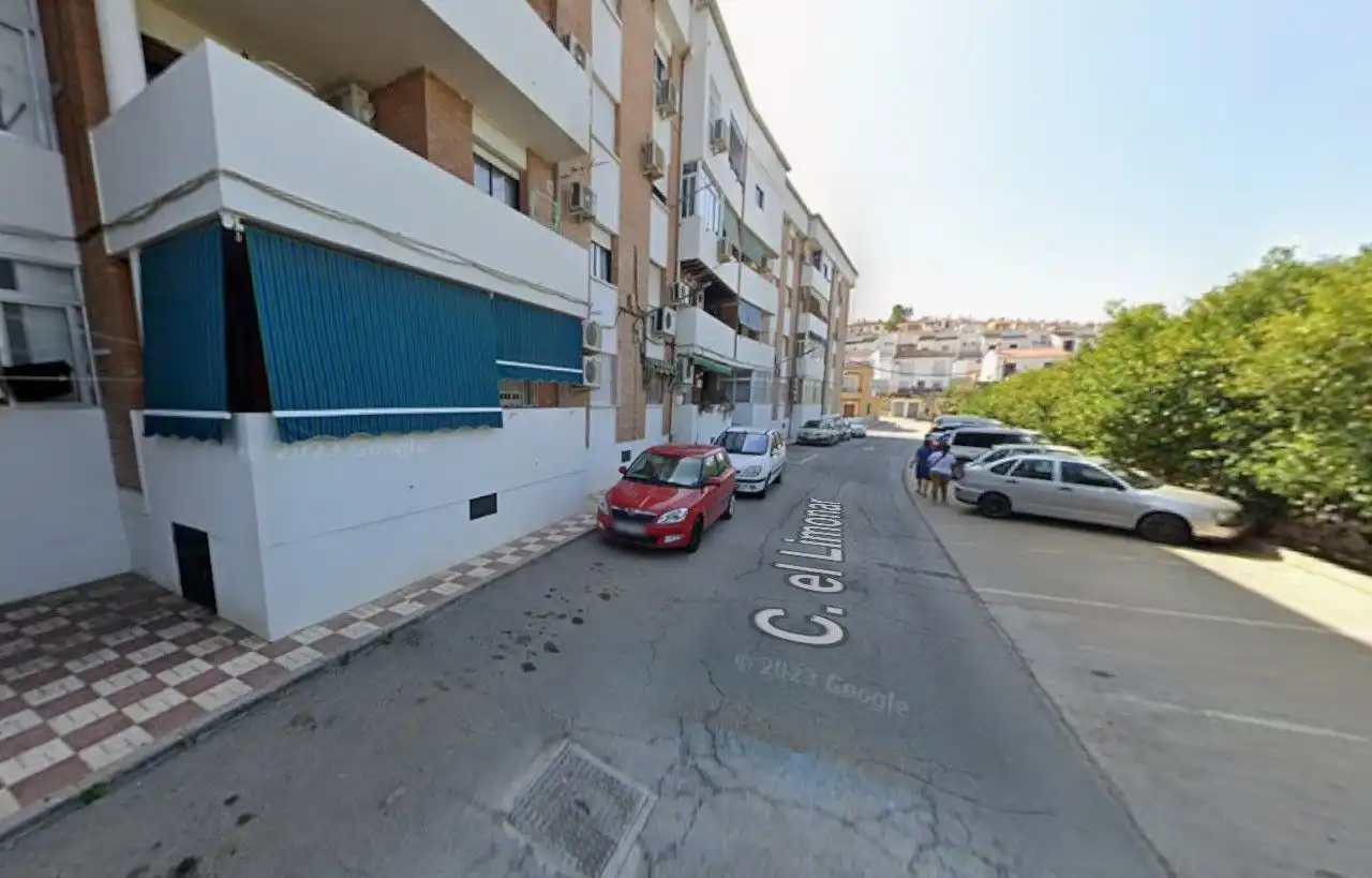 Exterior view of Flat for sale in Pizarra