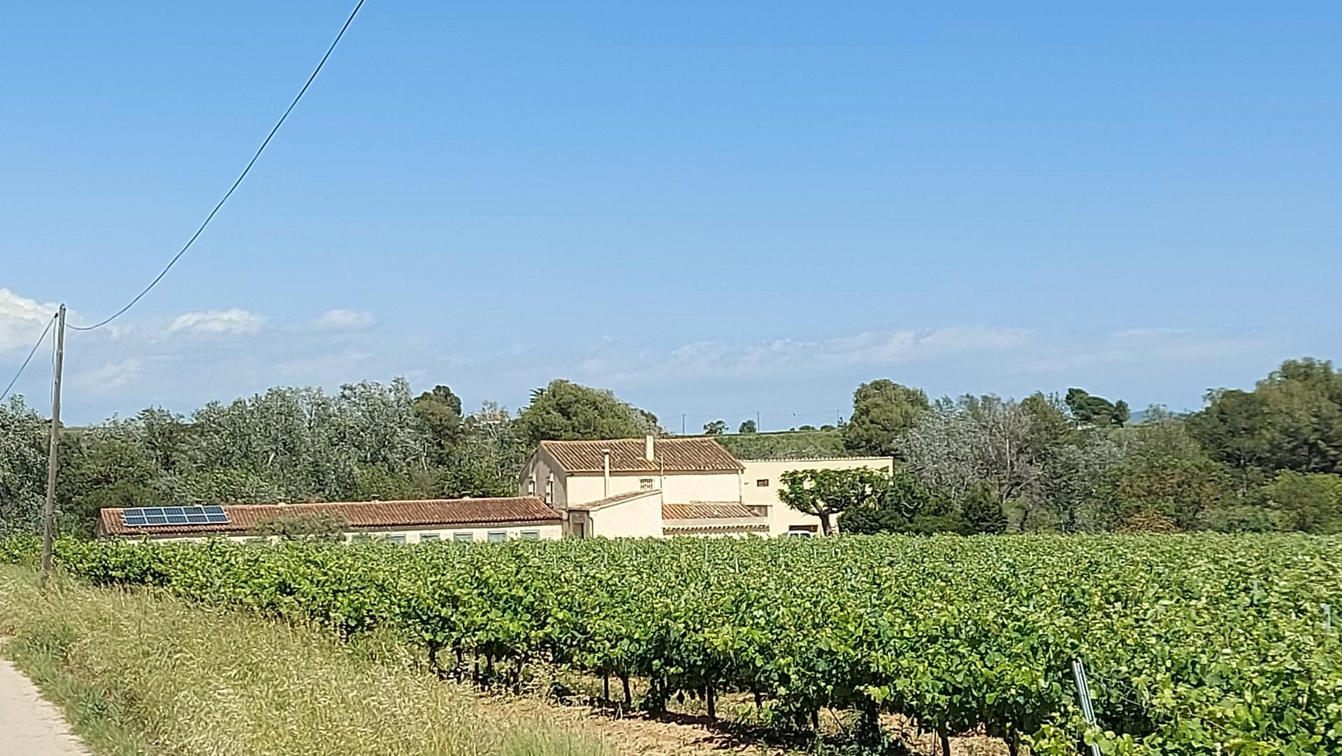 Country house for sale in Vilobí del Penedès