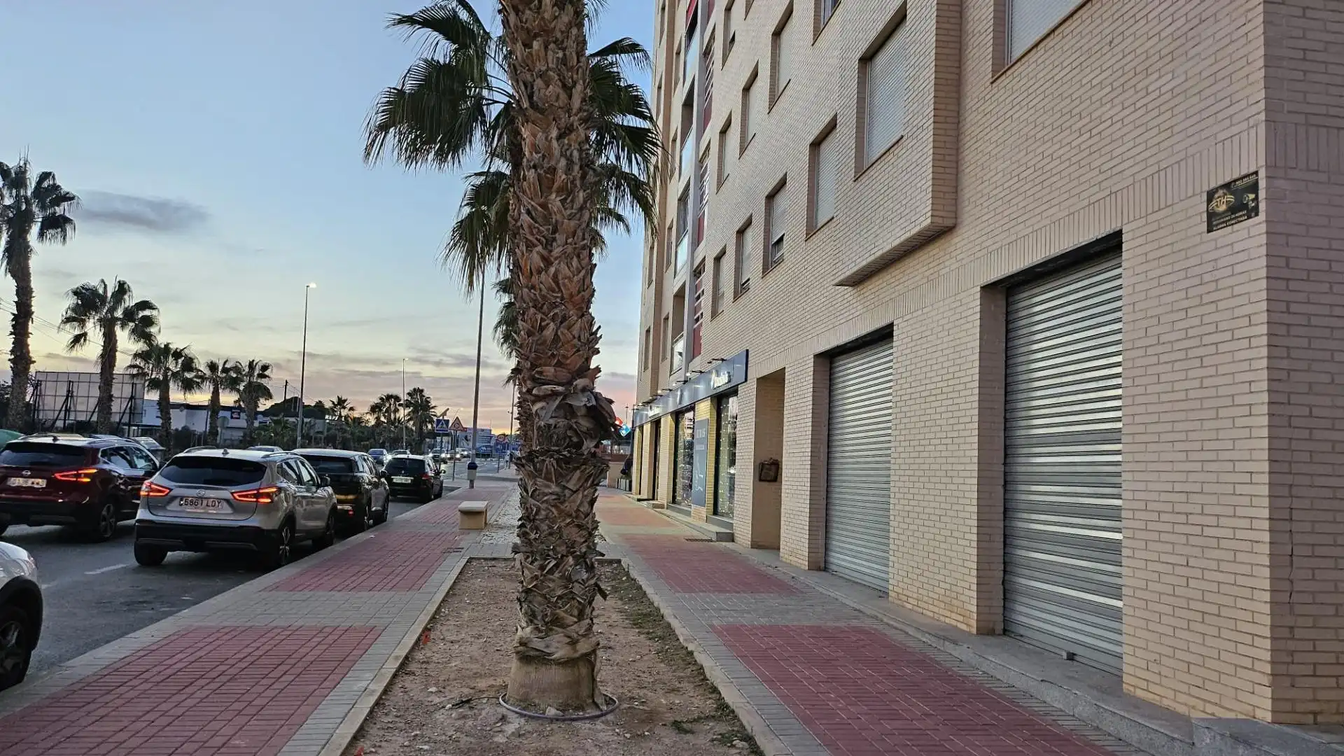 Local commercial à louer à Campello pueblo, imagen 5