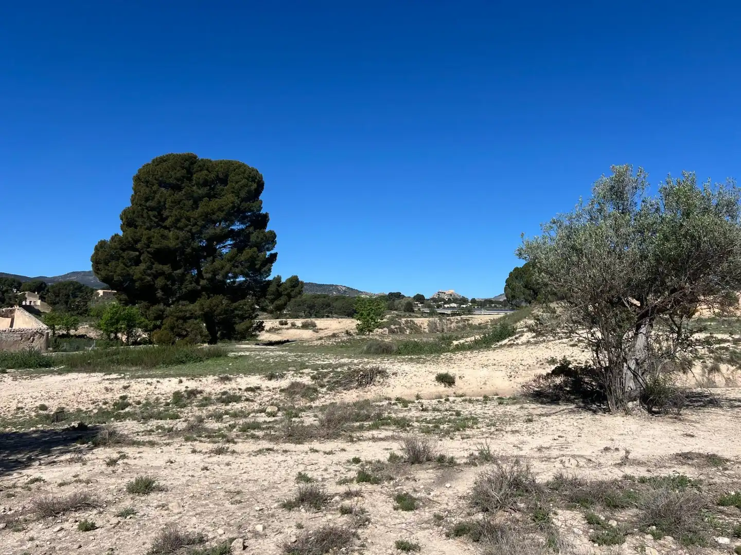 Country homes for sale in Castalla