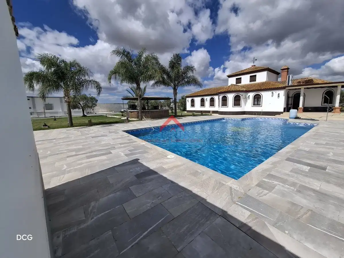Piscina de Casa o chalet de alquiler en Utrera con Calefacción, Piscina y Amueblado