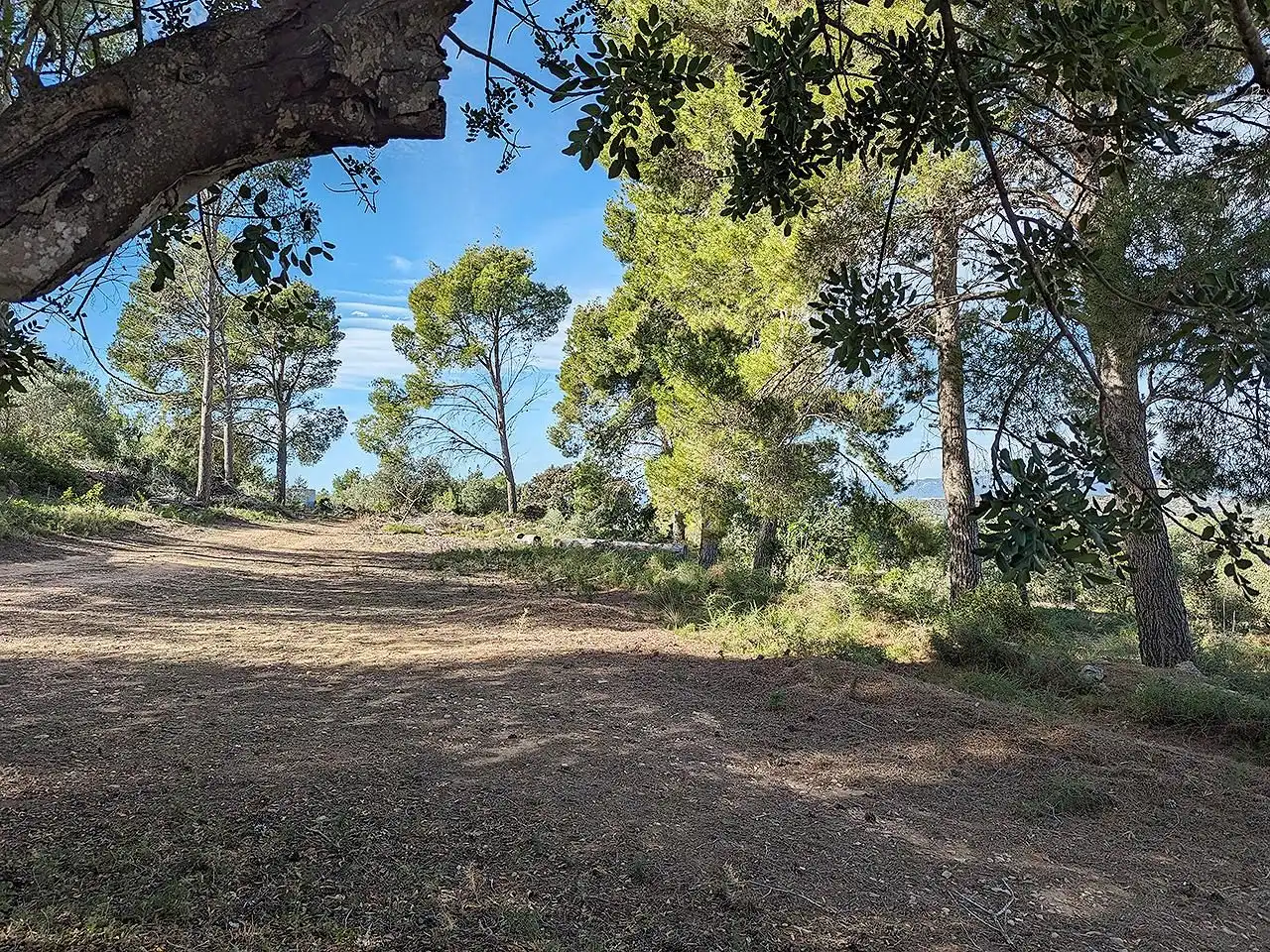 Casa rústica en venta en Ulldecona, imagen 23