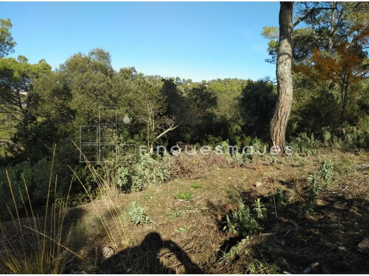 Terreno residencial en venta en Vacarisses, imagen 14