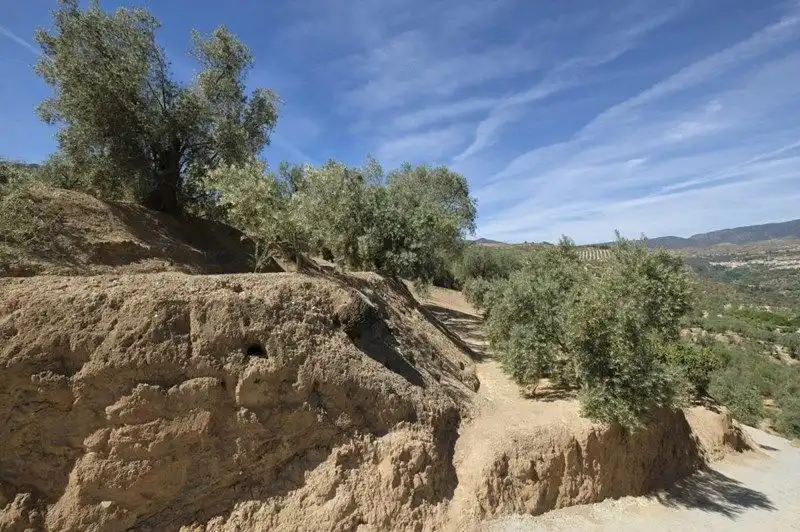 Terreno rustico in vendita a El Valle, imagen 7