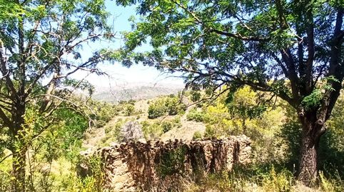 Foto 5 von Country house zum Verkauf in Rocafort, Gratallops, Tarragona