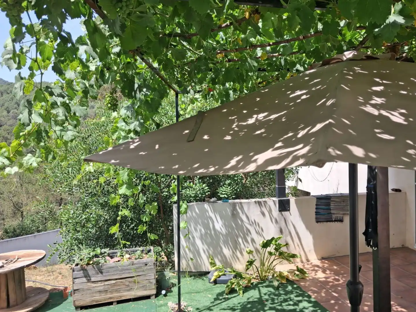 Jardí de Casa o xalet en venda en Tales amb Terrassa i Traster