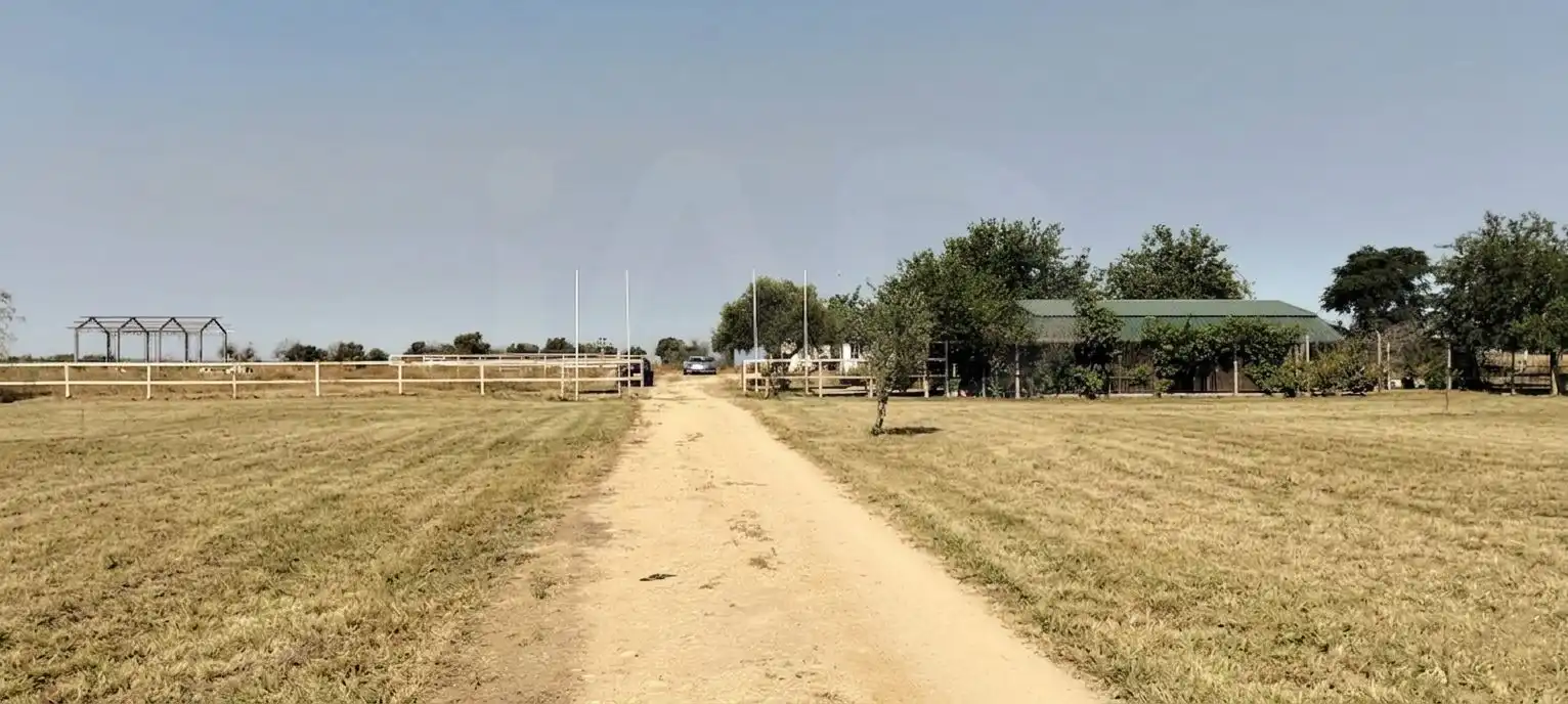 Terreni e lotti in vendita a La Hacienda - Nueva Andalucía, imagen 4