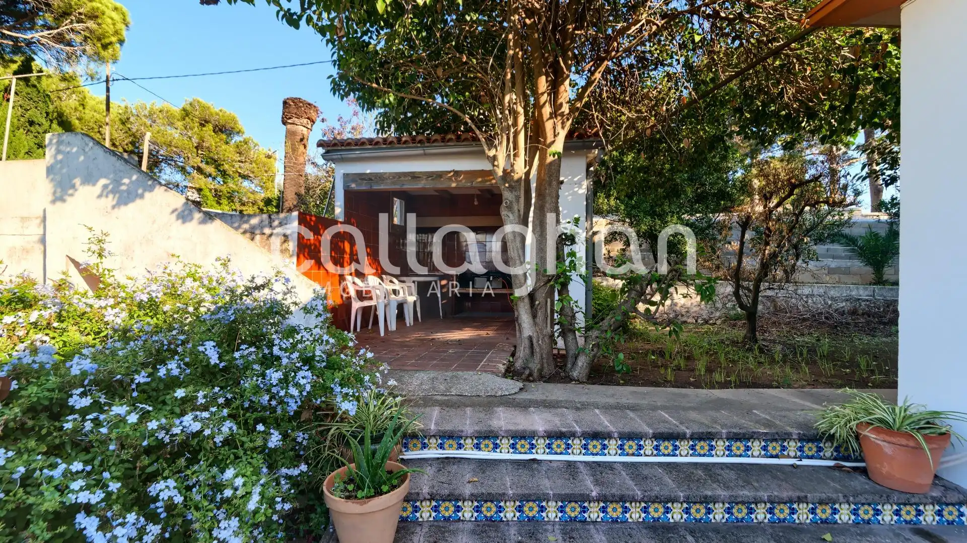 Jardín de Casa o chalet en venta en Alzira con Aire acondicionado, Calefacción y Jardín privado
