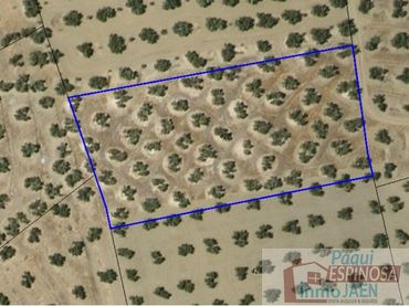 Terrenos y solares en venta en pardaballasco