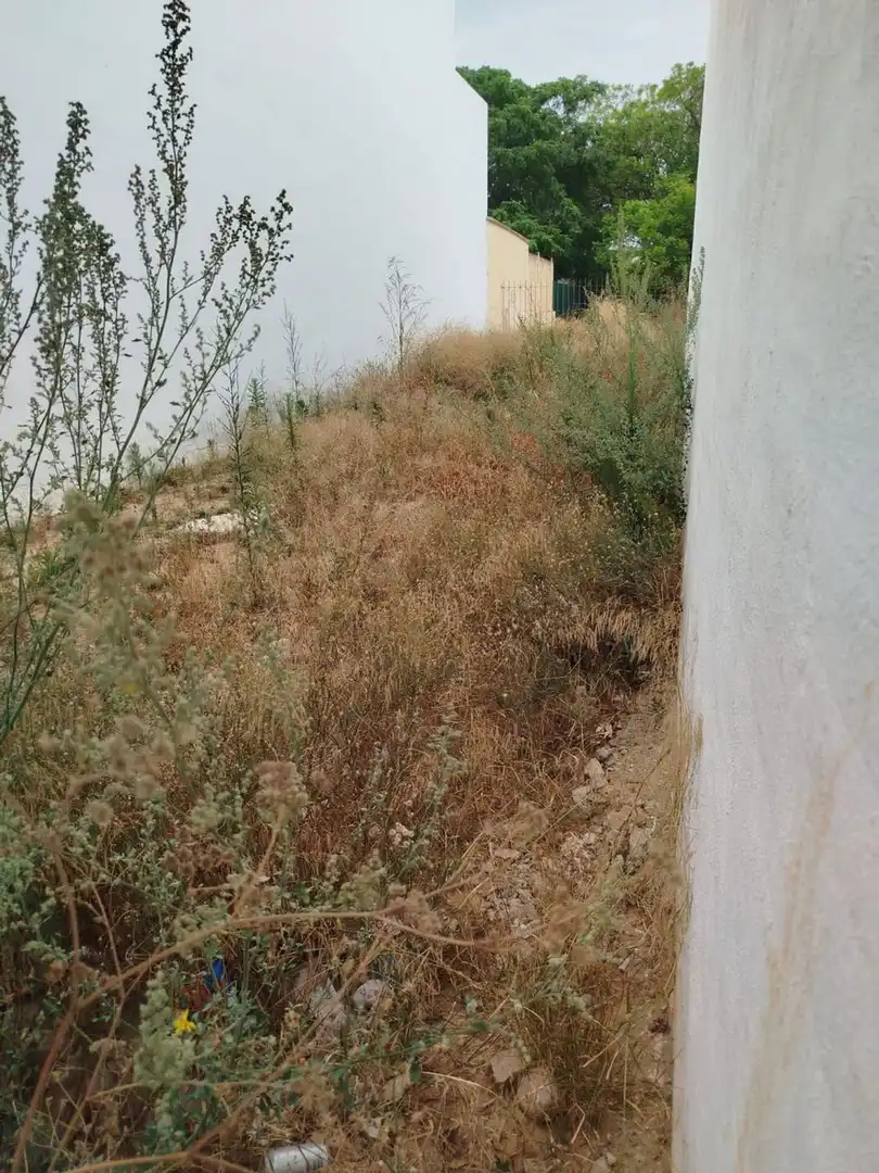Rustikales Grundstück zum Verkauf in Avenida Avenida de la Albufera, 101, imagen 5