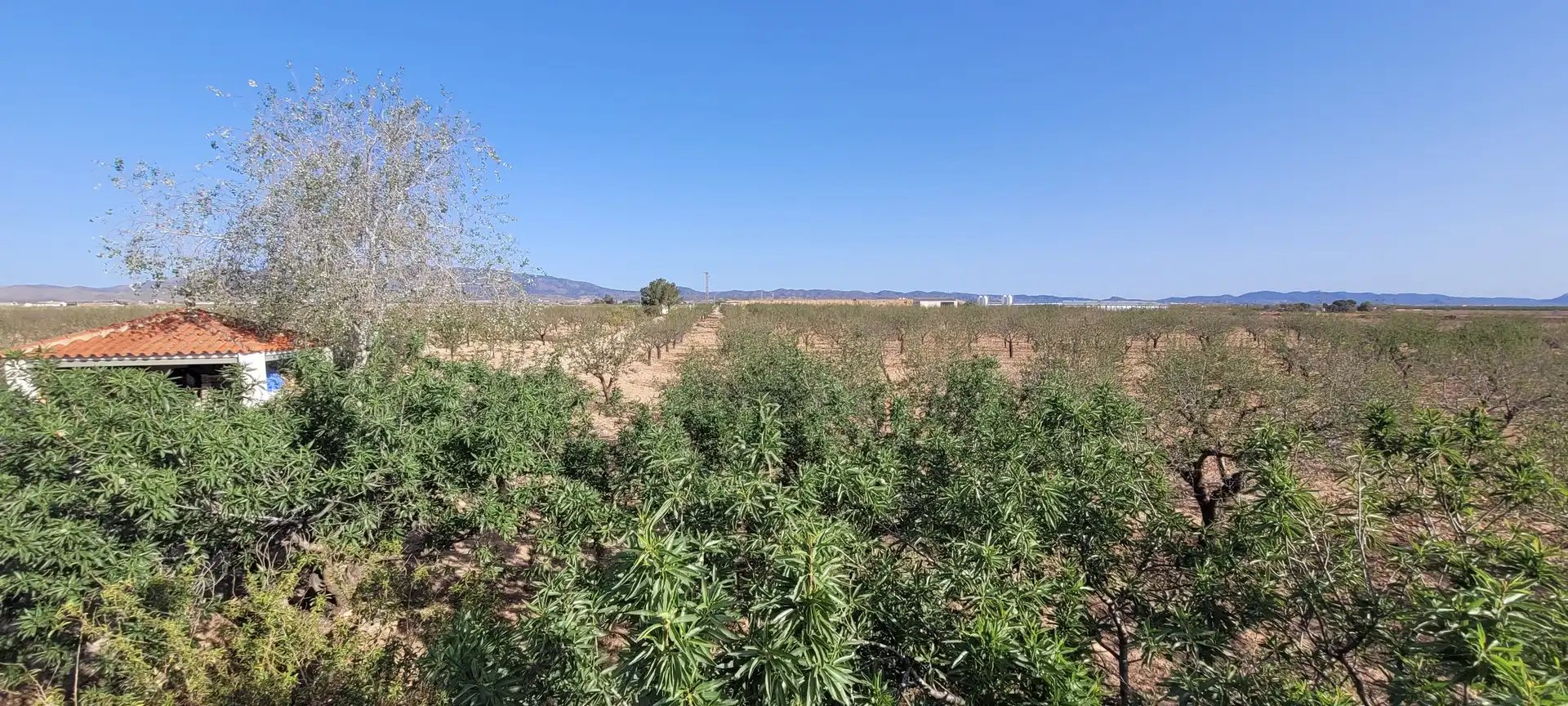 Country homes for sale in Murcia  with Heating, Private garden and Terrace