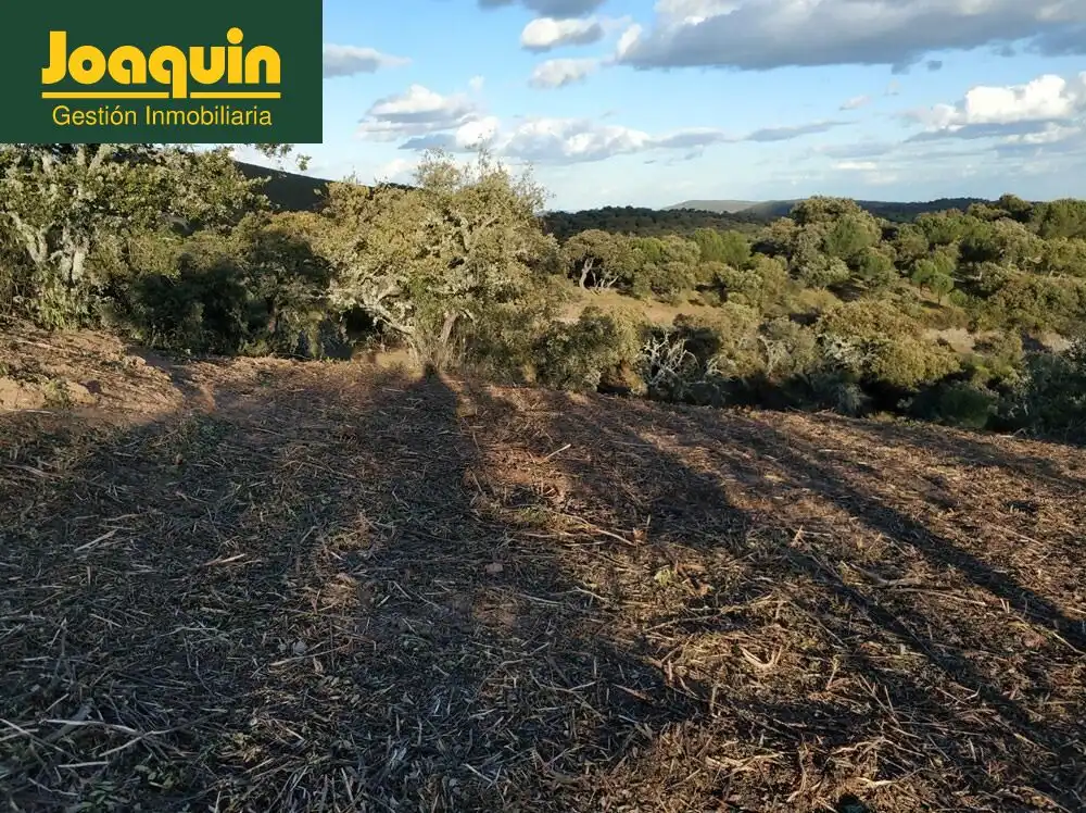 Terreno en venta en Obejo