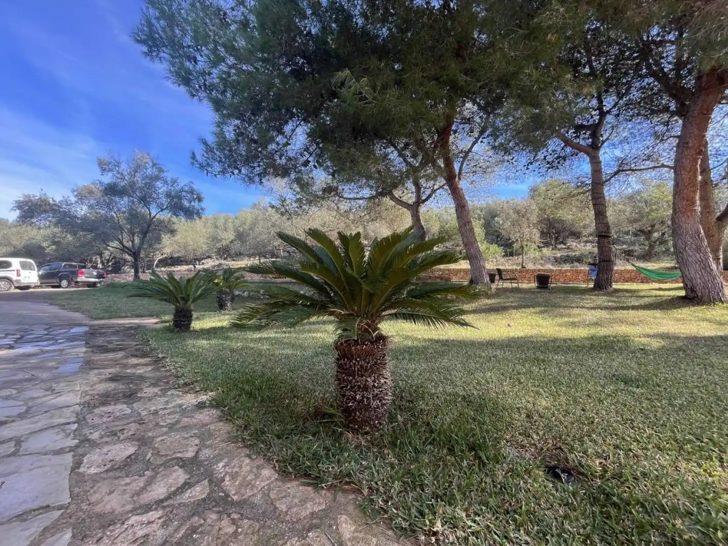 Garden of Houses for rent in Manacor  with Air Conditioner, Private garden and Terrace