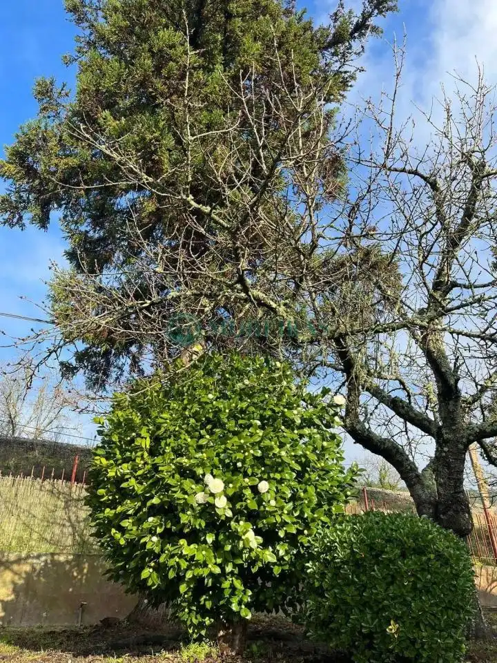 Jardín de Casa o chalet en venta en Ourense Capital  con Calefacción y Jardín privado