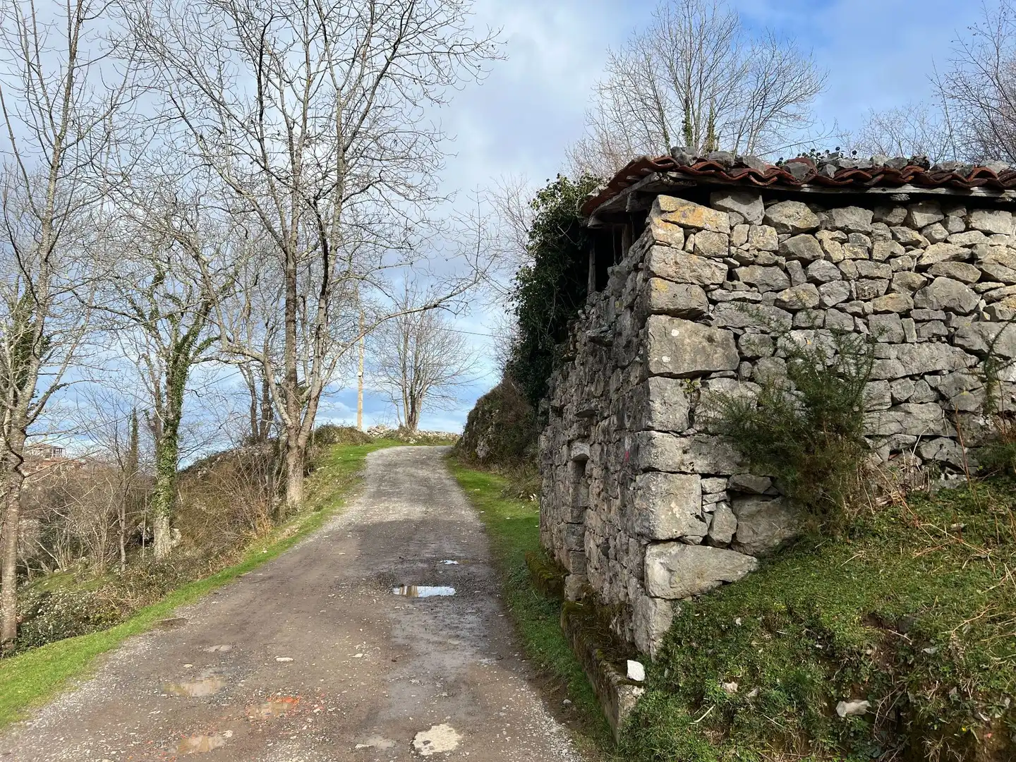 Terreno rustico in vendita a següenco, imagen 10