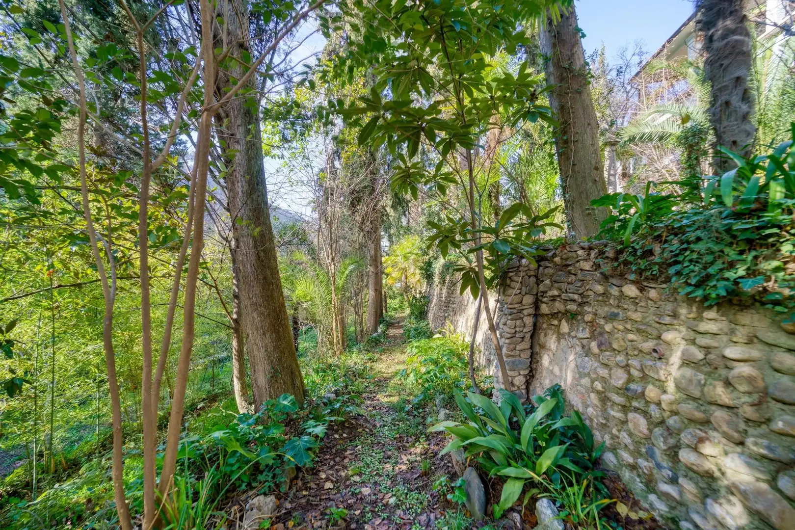 Jardín de Casa o chalet en venta en Granada con Aire acondicionado, Calefacción y Jardín privado