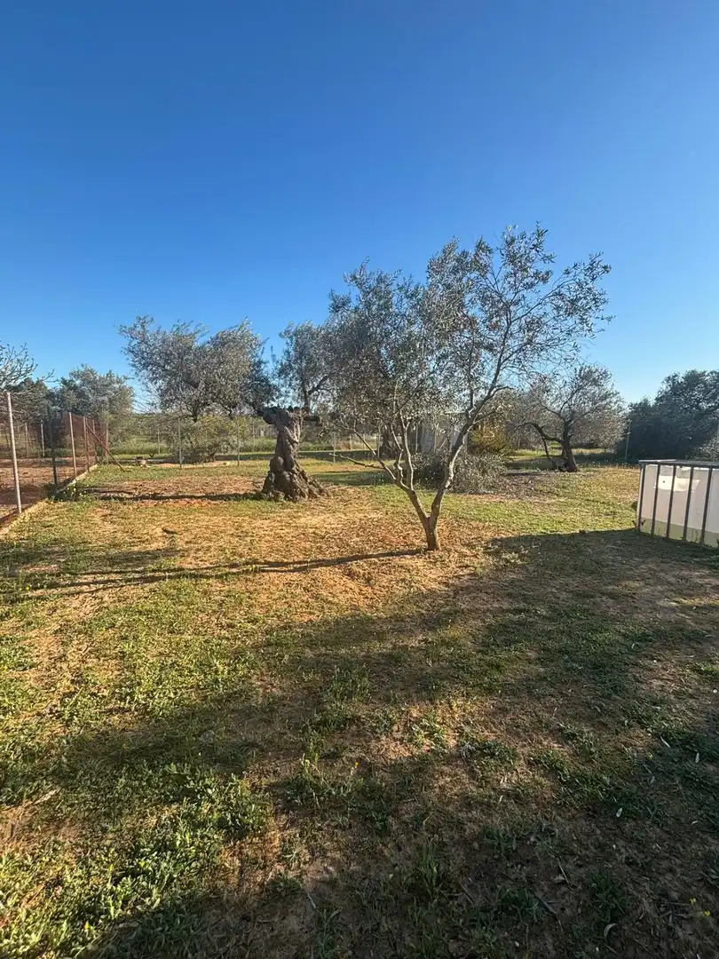 Casa o chalet en venta en Arahal