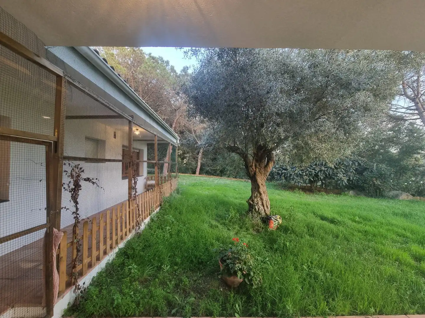 Terreno en venta en Argentona Est