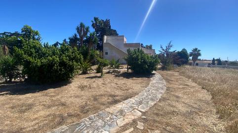 Foto 5 de Finca rústica en venda a El Zabal - Santa Margarita, La Línea de la Concepción