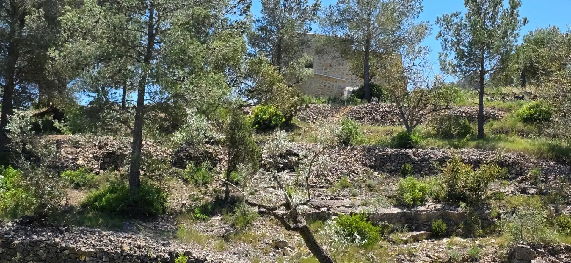 Maison rustique à vendre à Tivissa, imagen 15