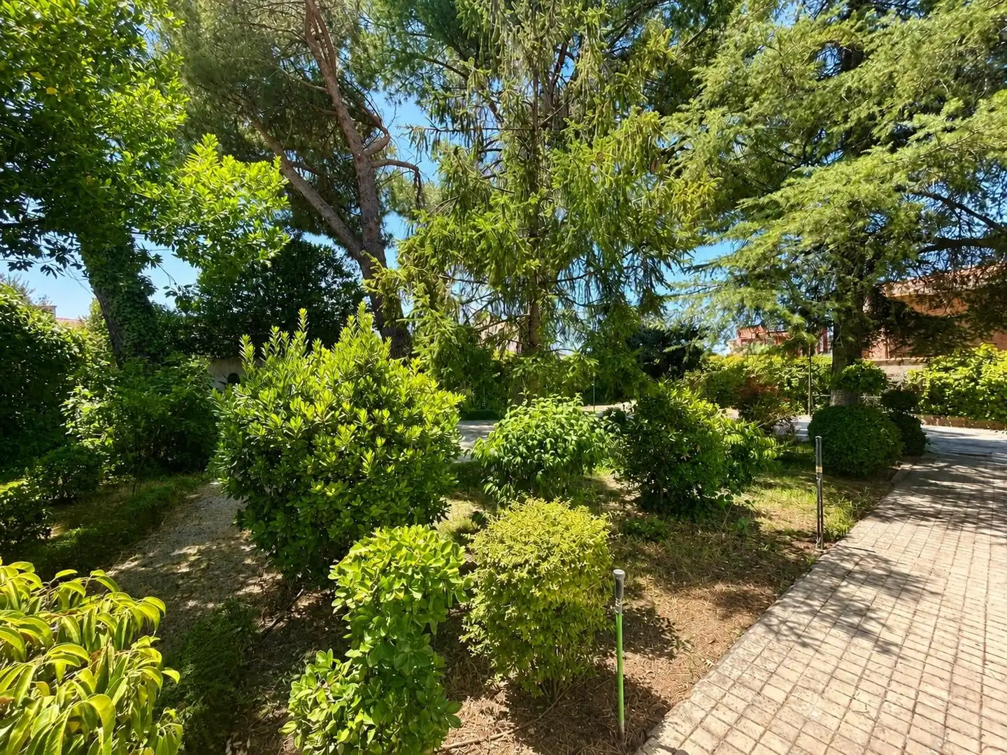 Jardí de Casa o xalet en venda en Arganda del Rey amb Jardí privat