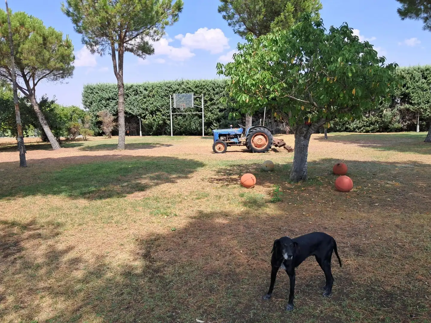 Garten von Wohnung zum Verkauf in La Vellés  mit Privatgarten und Schwimmbad