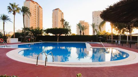 Foto 3 de Piso en venta en Fabraquer, Playa Muchavista, El Campello