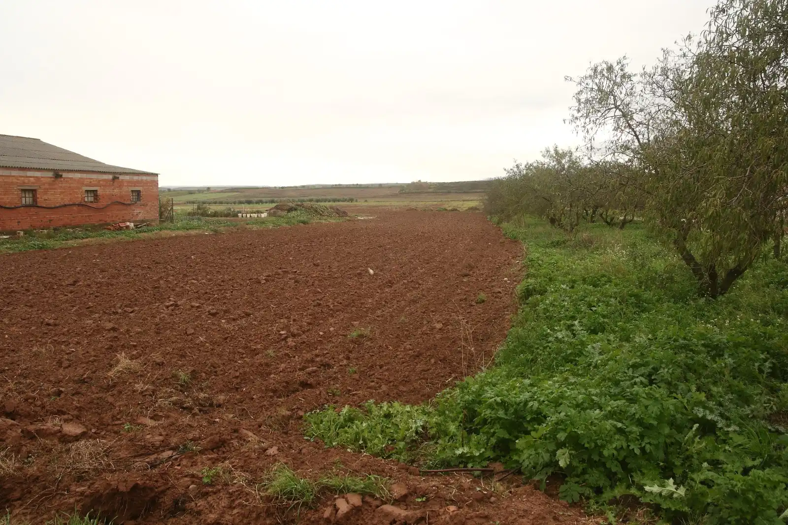 Terrenys i solars en venda a Alberite