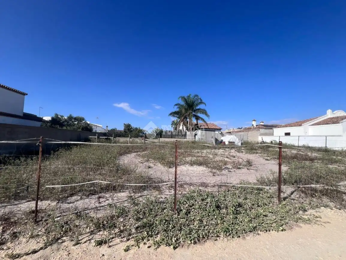 Rural land for sale in Conil, imagen 6