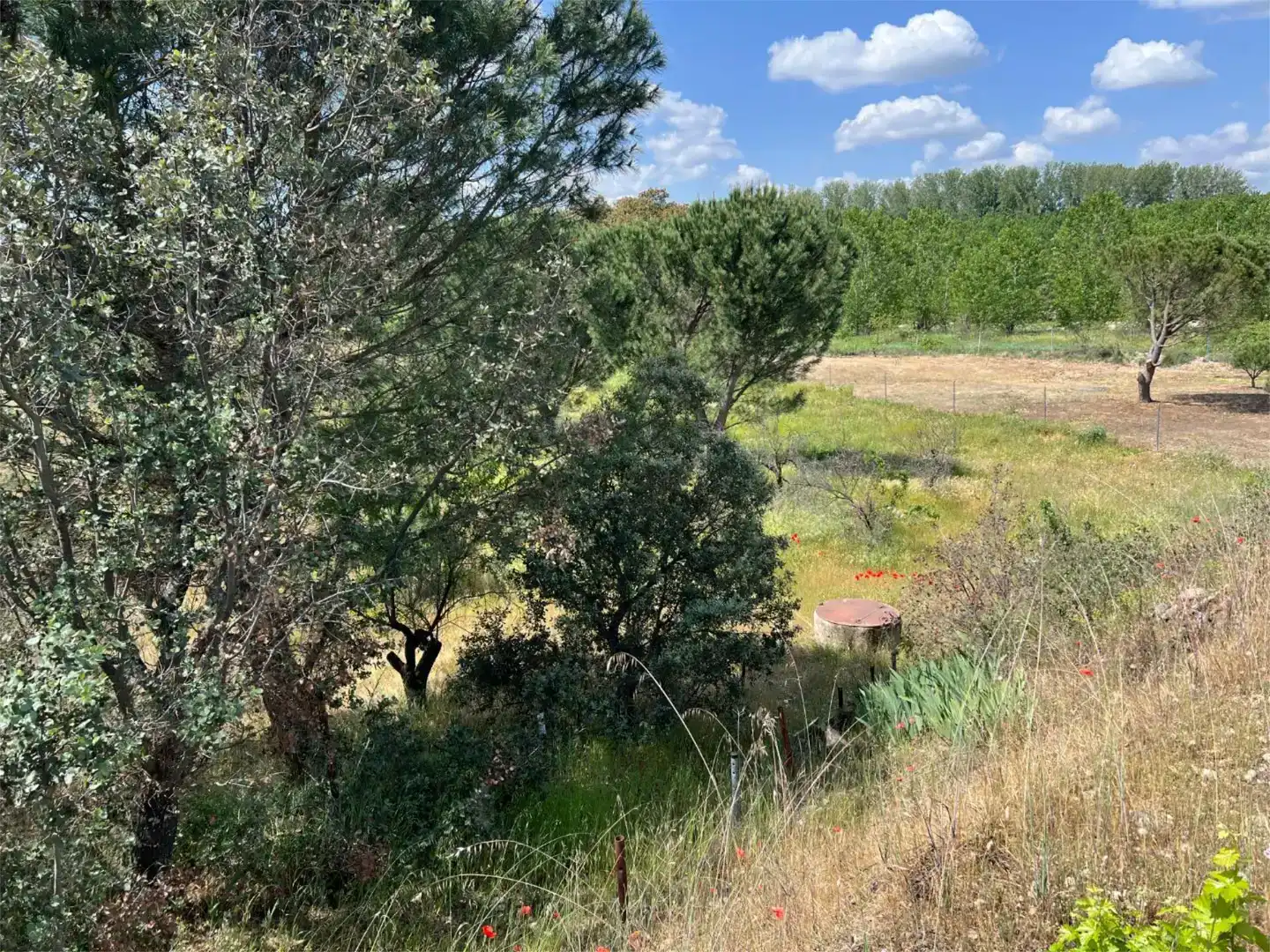 Finca rústica en venda en Santa Cruz del Retamar amb Piscina