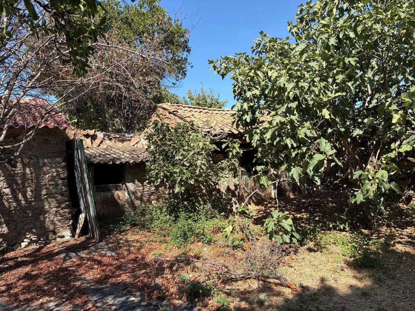 Casa o chalet en venta en Santa María la Real de Nieva, Segovia