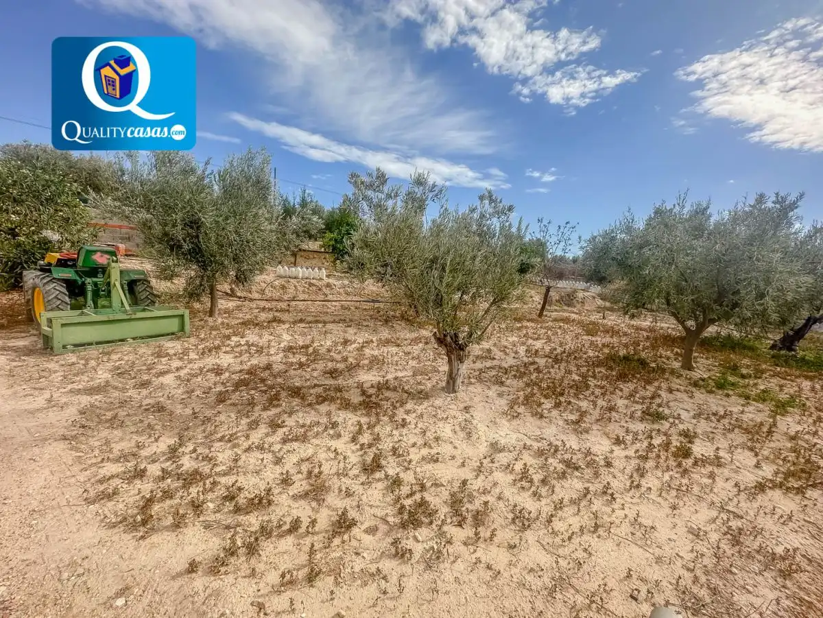 Lands and plots for sale in Partidas de Alicante, imagen 7