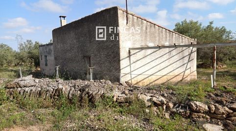 Foto 3 de Finca rústica en venta en Qjmj+85j, Camarles, Tarragona